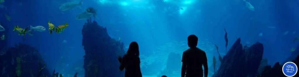 Entradas y transporte al Aquarium de Roquetas de Mar