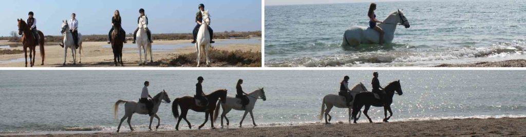 Balade à cheval le long de la plage de Roquetas de Mar