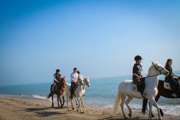 Actividades por la playa de Roquetas de Mar. Montar a caballo en Roquetas
