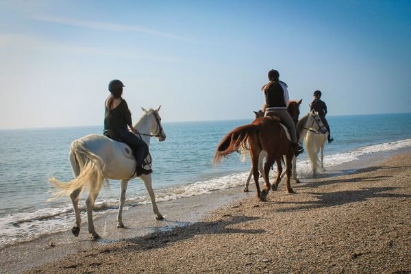 Paardrijden langs de kust