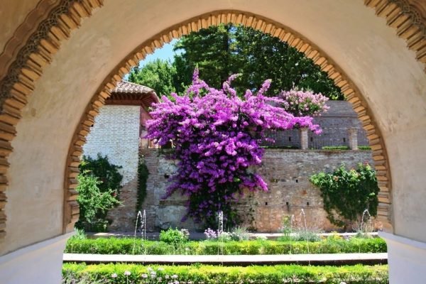 Viaje al sur de España y Andalucía para visitar Alhambra