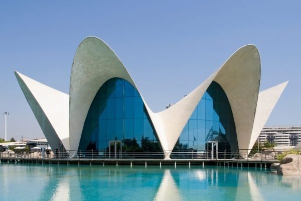Travel to Europe from Spain. Visit the Oceanographic of Valencia with an English-speaking guide.
