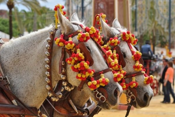 Travel to Andalusia. Horse Route in Jerez de la Frontera