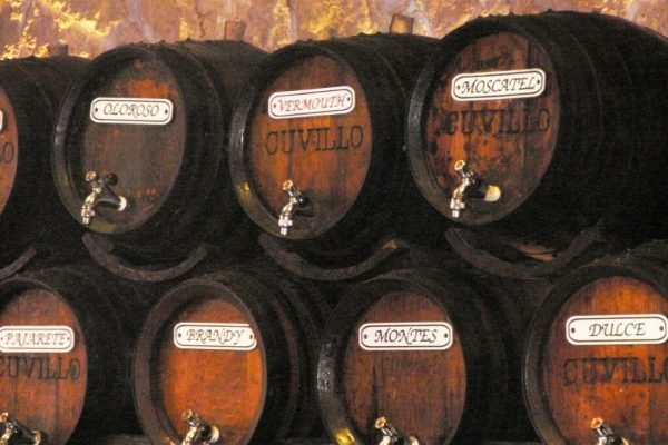 Voyage en Espagne. Route des vins de Sherry à Jerez de la Frontera