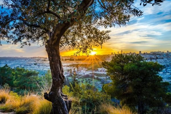 Viajes por la Tierra Santa - Visitar Jerusalén con guía en español