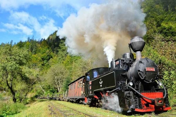 Tours a Europa - Excursión en tren tradicional Mocanita Rumanía