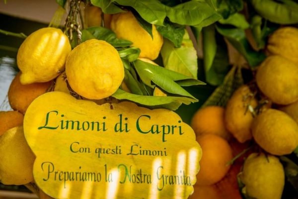Paquetes a Europa e Italia con guía en español. Visitar Napoles y la Isla de Capri desde Roma