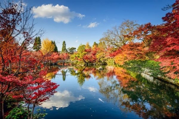 Circuitos por Asia - Visitar los lugares más bonitos de Kioto Japón