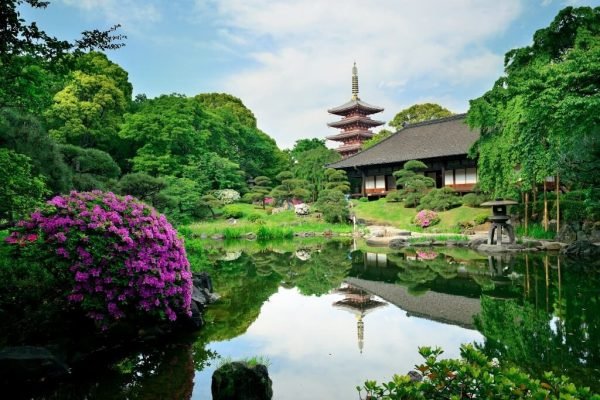 Vacaciones a Asia y Lejano Oriente - Visitar lo mejor de Tokyo Japon