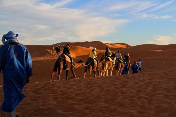 Route des chameaux à travers le désert du Sahara au Maroc