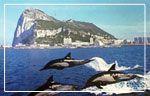 Circuito a Gibraltar